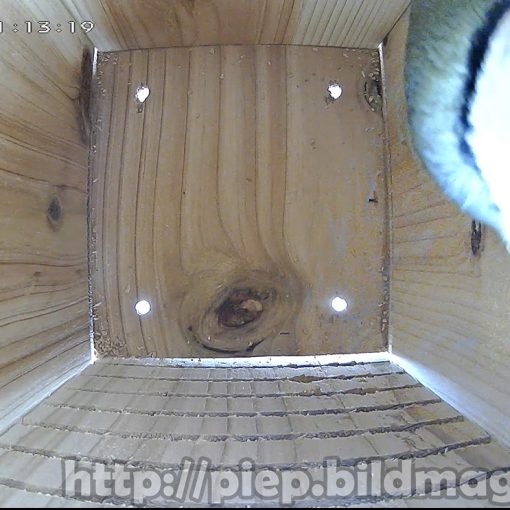 Untersuchung des Kastens