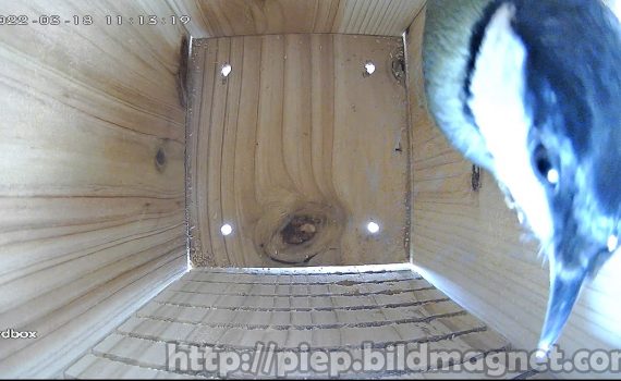 Untersuchung des Kastens